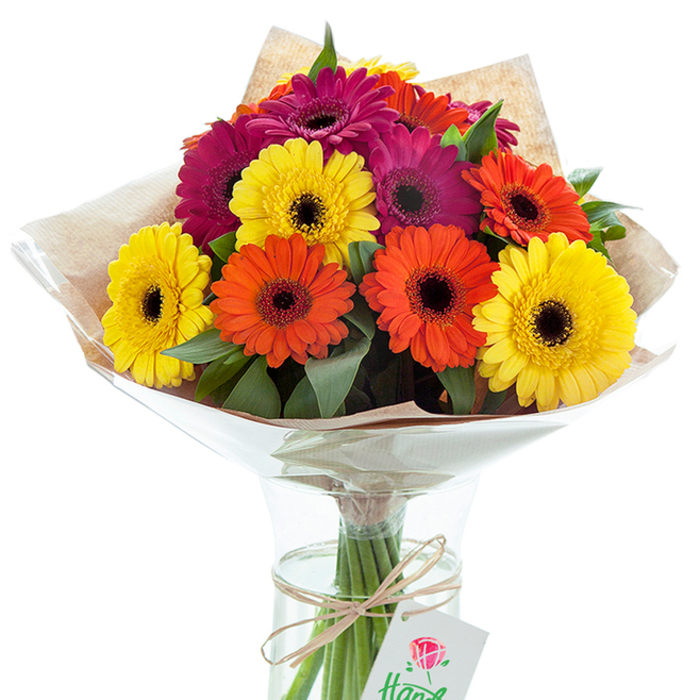 Positioned against a pure white background, this exuberant hand-tied bouquet of Gerbera daisies captures the celebratory energy often echoed in Maidenhead's lively community gatherings. Generous blooms in sunbeam yellow, bold orange, and rich magenta spring upward from a crystalline glass vase, their colours playing off one another in joyful harmony. The structural beauty of each gerbera-large, radiating petals and contrasting dark centers-draws the gaze, while leafy green foliage tucked between the stems offers a verdant, almost woodland texture. The bouquet is wrapped in rustic, earthy kraft paper and veiled in glimmering cellophane, cradling the blossoms and hinting at the care taken in their arrangement. Through the transparent vase, stems are visible, fresh and verdant, their ends submerged in clean water to preserve their extraordinary vitality. Around the middle, a strand of natural twine ties off the bouquet with a modest bow, from which hangs a refined white tag, delicately adorned with a red rose illustration-suggesting that this creation, from a trusted local Maidenhead florist, is destined as a thoughtful gift. This image radiates both joy and sophistication; it's an arrangement ready for moments of thankfulness, birthday surprises delivered to Bray, or simply brightening a home overlooking the Thames. Every detail, from the crinkled cellophane to the play of summer light across the petals, tells a story of artistry and heartfelt connection to the local area.